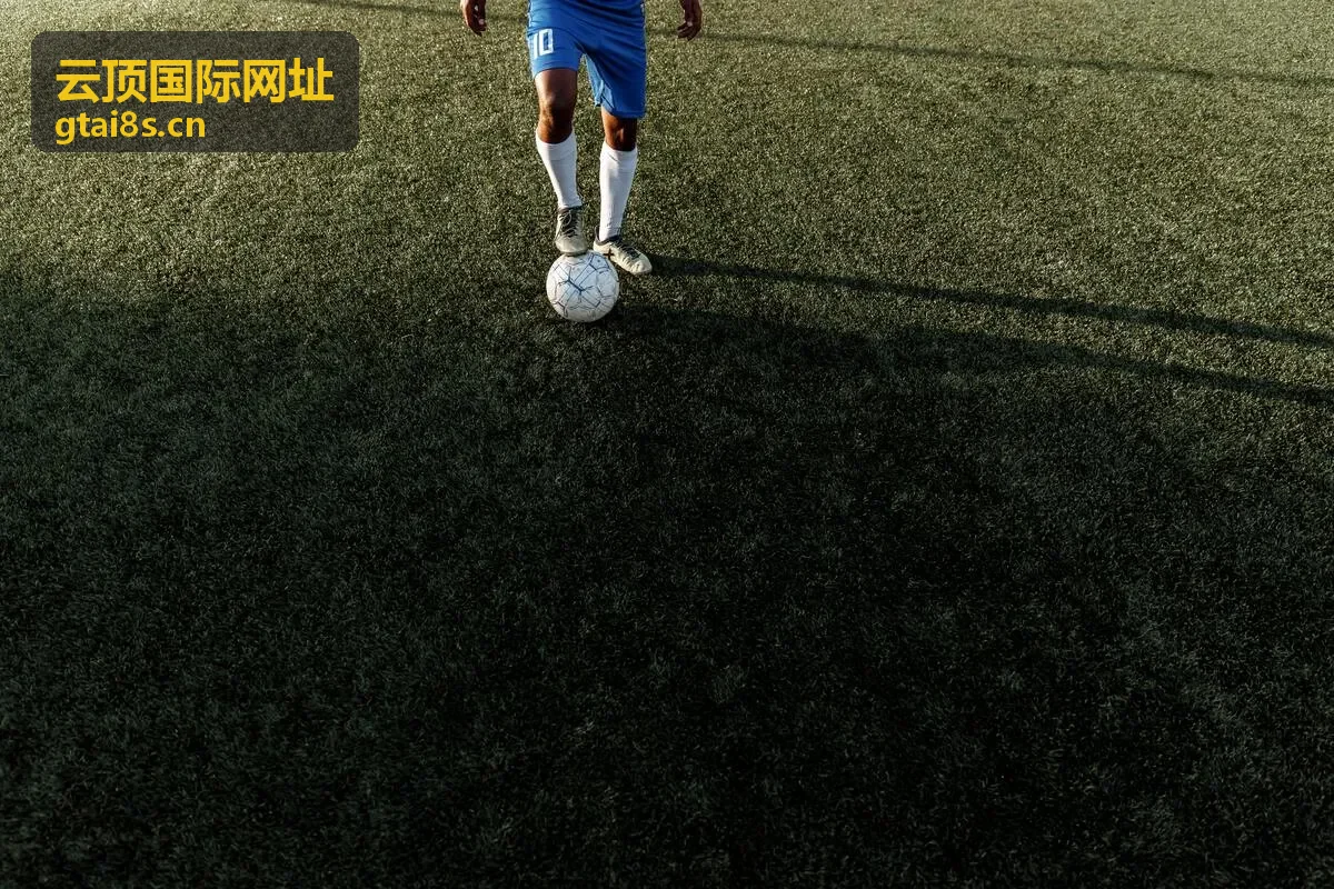 云顶国际网址热门推荐封面